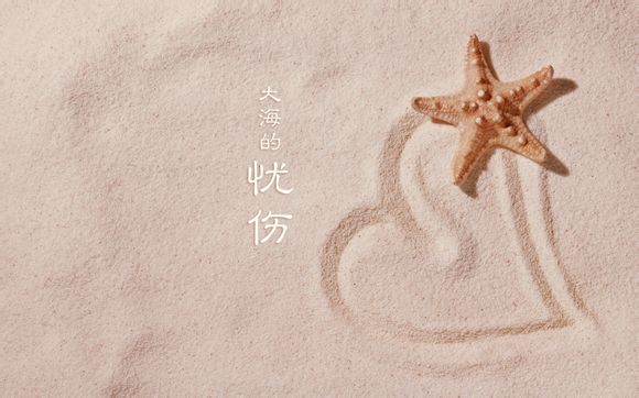 华为荣耀4x用的什么卡